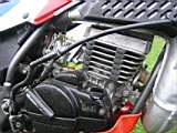 Honda_TLM50_Bild15.jpg